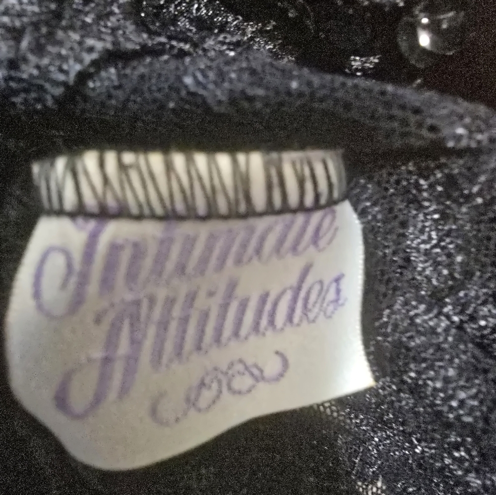 Vintage Elegant Black Lace Nightgown - Picture 10 of 11